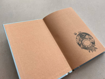 Джейн Остен: Доводы рассудка