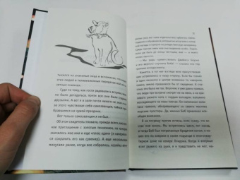 Джеймс Боуэн: Подарок уличного кота Боба