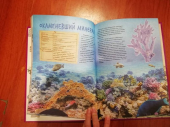 Ирина Морозова: Как растут камни