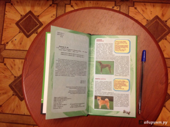 Эва-Мария Кремер: Самые популярные породы собак