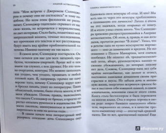 Андрей Аствацатуров: И не только Сэлинджер:  десять опытов прочтения английской и американской литературы