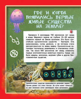 Дмитрий Туровец: Где? Когда? Как?