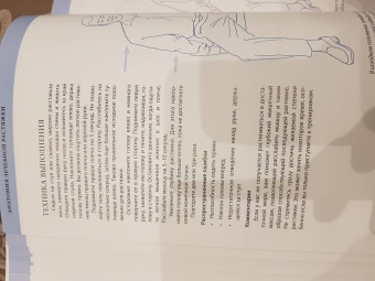 Кристиан Берг: Анатомия лечебной растяжки. Быстрое избавление от боли и профилактика травм