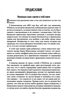 Джейсон Миллер: Защитная и реверсивная магия. Руководство по колдовской защите