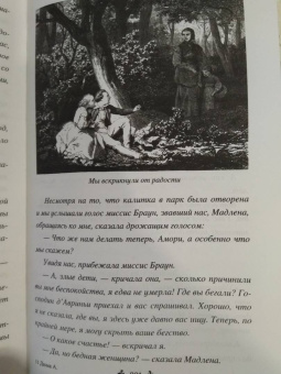 Александр Дюма: Приключения Лидерика. Амори