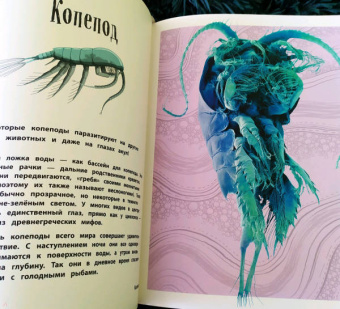 Бен Хоар: Чудеса природы. Энциклопедия