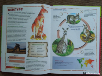 Моя первая книга о животных