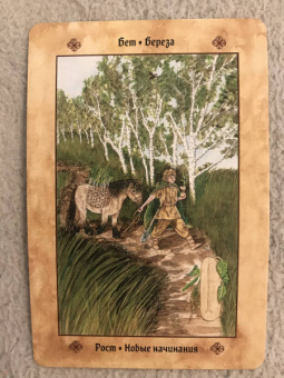 Микки Мюллер: Голоса деревьев. Кельтский оракул (25 карт)