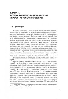 Руслан Зардов: Теория эффективного нарушения. Анализ, критика, перспективы. Монография