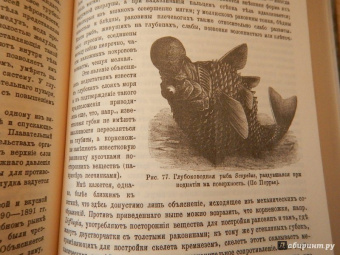 К. Келлер: Жизнь моря