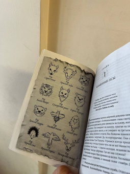 Дарья Буданцева: Медиаторы. Книга 1. Право на власть