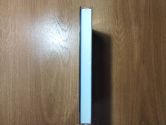 Ирвин Уэлш: Кошмары Аиста Марабу