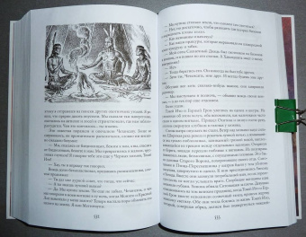 Лизелотта Вельскопф-Генрих: Токей Ито