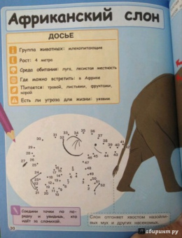 Стив Паркер: Дикие животные. Отправляйтесь в удивительный мир!