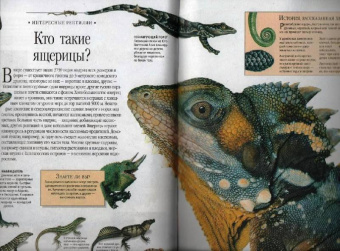 Самая красивая энциклопедия животных