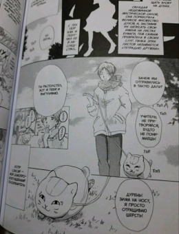 Юки Мидорикава: Тетрадь дружбы Нацумэ. Том 1