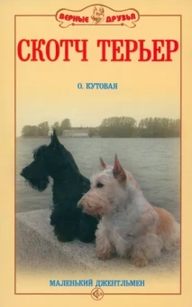 Ольга Кутовая: Скотч терьер. Маленький джентльмен