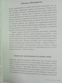 Андреас Хазе: Деревья. Как жизни человека и дерева переплетены друг с другом