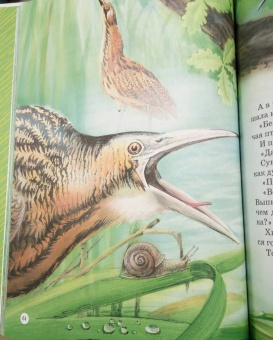 Виталий Бианки: Большая книга сказок