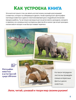Лепим из пластилина крокодила, носорога, черепаху