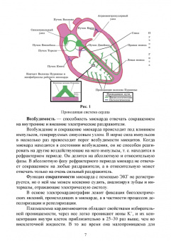 Ковалев, Васильев, Туварджиев: Графические методы диагностики в ветеринарии. Учебное пособие