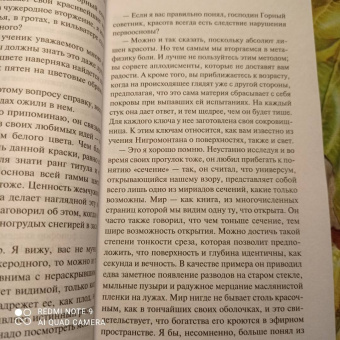 Эрнст Юнгер: Гелиополь