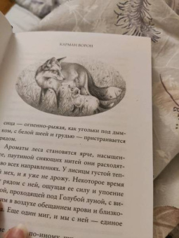 Джоанн Харрис: Карман ворон