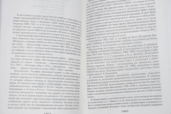 Марина Цветаева: Волшебный фонарь