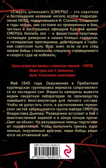 Александр Тамоников: Зловещий лабиринт