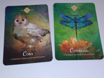 Колетт Барон-Рид: The Spirit Animal Oracle. Духи животных. Оракул, 68 карт и руководство в подарочном оформлении