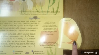 Боманн, Дюпон: Животные снаружи и внутри