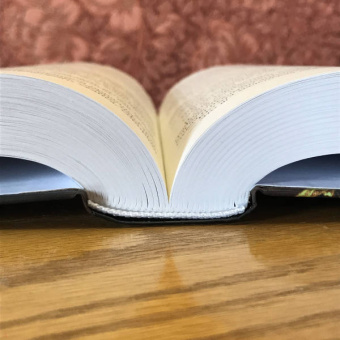 Рэй Брэдбери: Избранное. 451 по Фаренгейту и другие романы