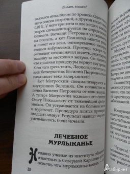 Надежда Щепкина: Виват, кошка!