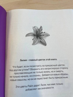 Колин Гувер: Все закончится на нас