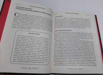 Джоэль Леви: Франкенштейн. Запретные знания эпохи готического романа