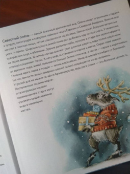 Женя Григорьева: Желание на Новый год. Как оленёнок спас друзей. Полезные сказки