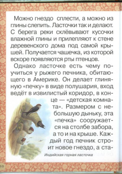 Инна Гамазкова: Гнезда, норки, домики