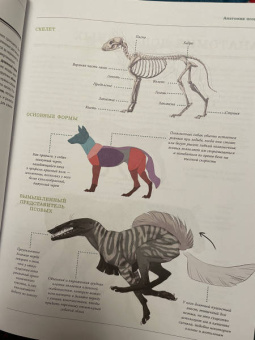 Рис, Метени, Бейкер: Создание фантастических существ. Полный курс. От разработки концепта до готового персонажа