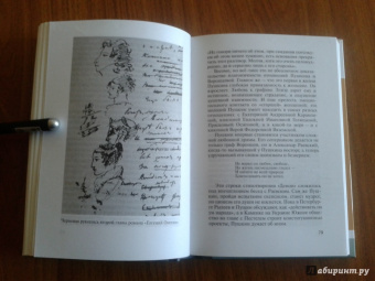 Владимир Новиков: Пушкин