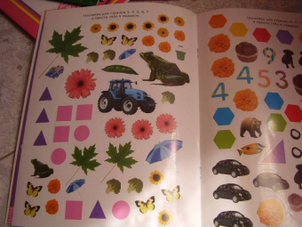 Обведи, наклей, узнай (без фломастера). Цвета