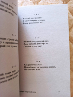 Мацуо Басё: Во тьме безлунной ночи