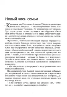 Николай Огнев: Мексиканец
