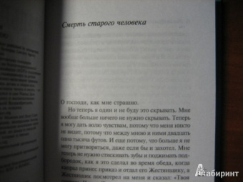 Роальд Даль: Перехожу на прием