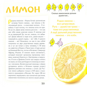 София Егорова: Кот Брюс и фрукты-овощи