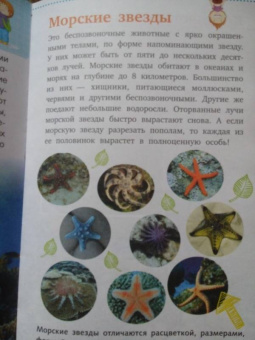 Дмитрий Кошевар: Жители морей и океанов