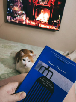 Марк Хэддон: Загадочное ночное убийство собаки