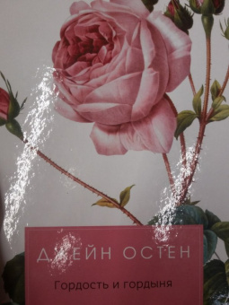 Джейн Остен: Гордость и гордыня