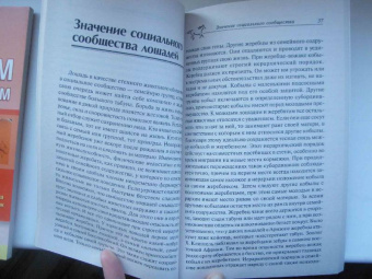 Герхарт Герверк: Психология лошади. Нрав, чувства, поведение