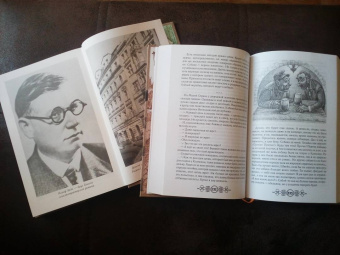 Ярослав Гашек: Похождения бравого солдата Швейка (комплект из 2-х книг)