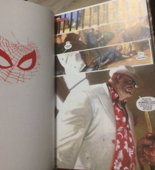 Робинсон, Уэйд: Удивительный Человек-Паук. Дела Семейные